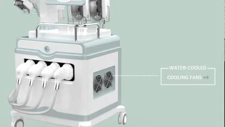 Máquina de criolipólisis de fisioterapia con ondas de choque para pérdida de peso y congelación de grasa Multipe